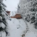 на скелі