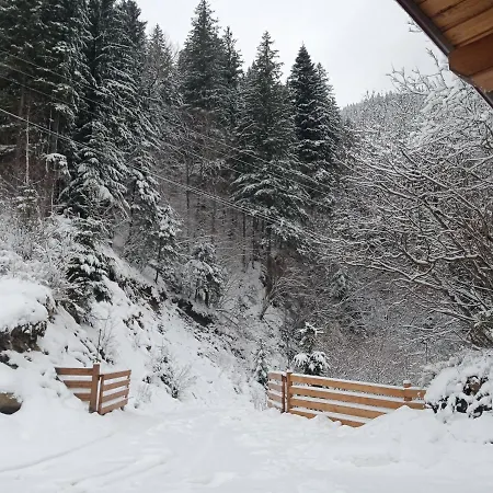 на скелі 펜션 *