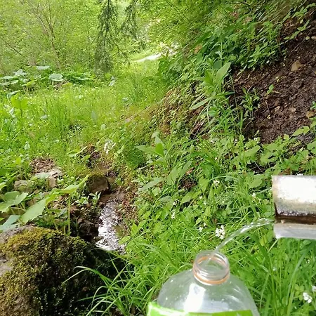 на скелі Holiday home