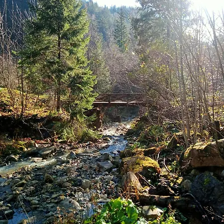 на скелі 펜션 *