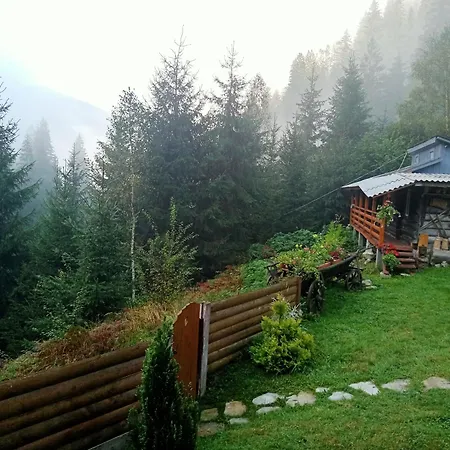 на скелі *
