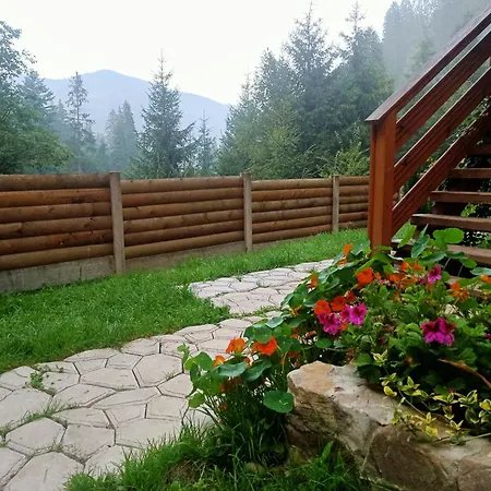 на скелі * Krivorovnya