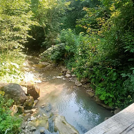 Holiday home на скелі Krivorovnya