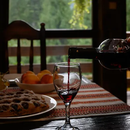 펜션 на скелі Krivorovnya