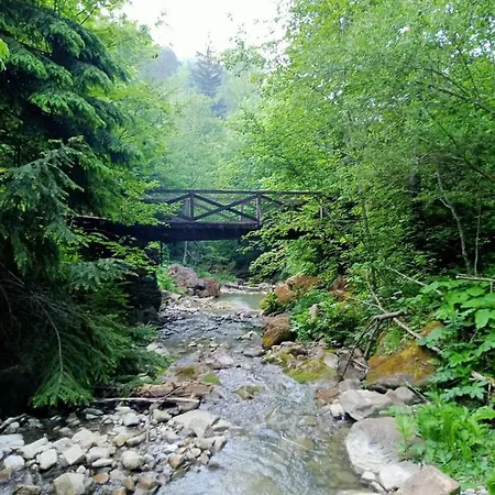 на скелі