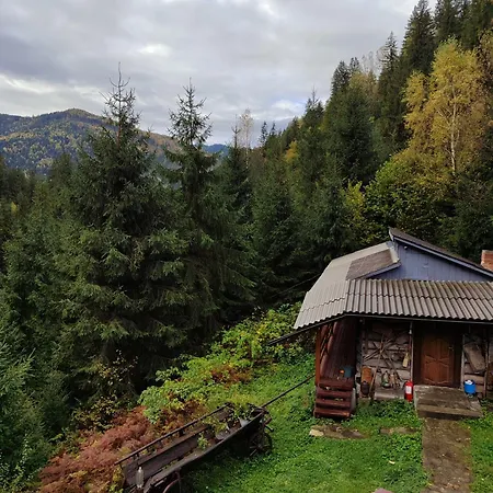 на скелі Nyaraló Krivorivnya