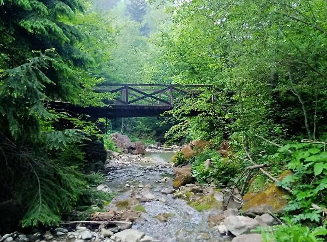 на скелі