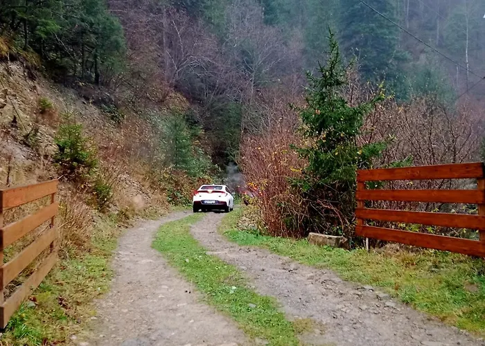 на скелі Nyaraló Krivorivnya