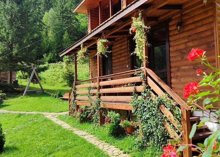 на скелі Nyaraló Krivorivnya